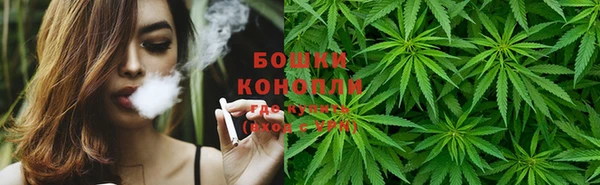 тгк Сатка