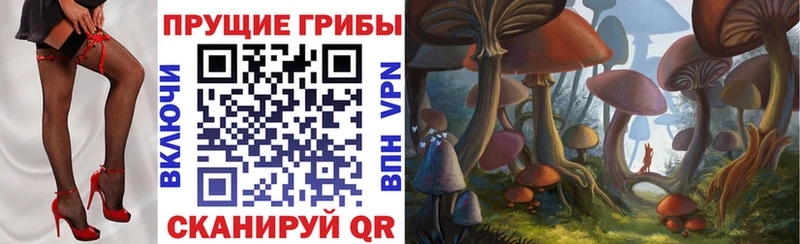 Галлюциногенные грибы Psilocybine cubensis  Медвежьегорск 